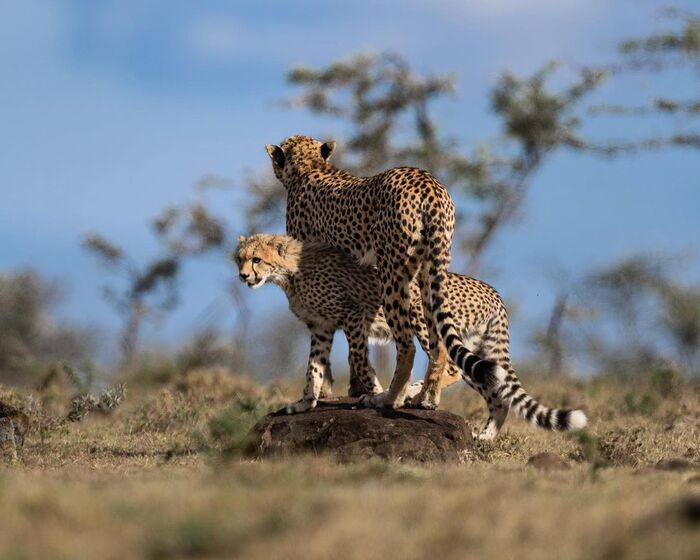 Такой большой, а всё за маму прячется
