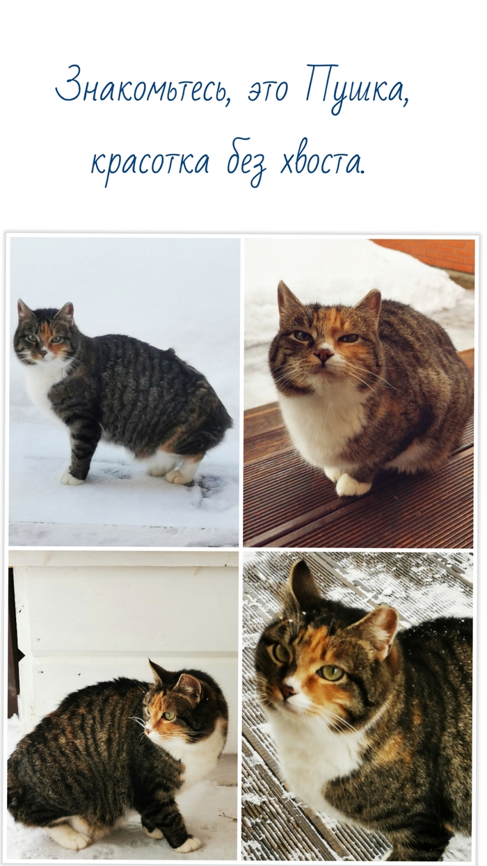       , ,   , , ,  