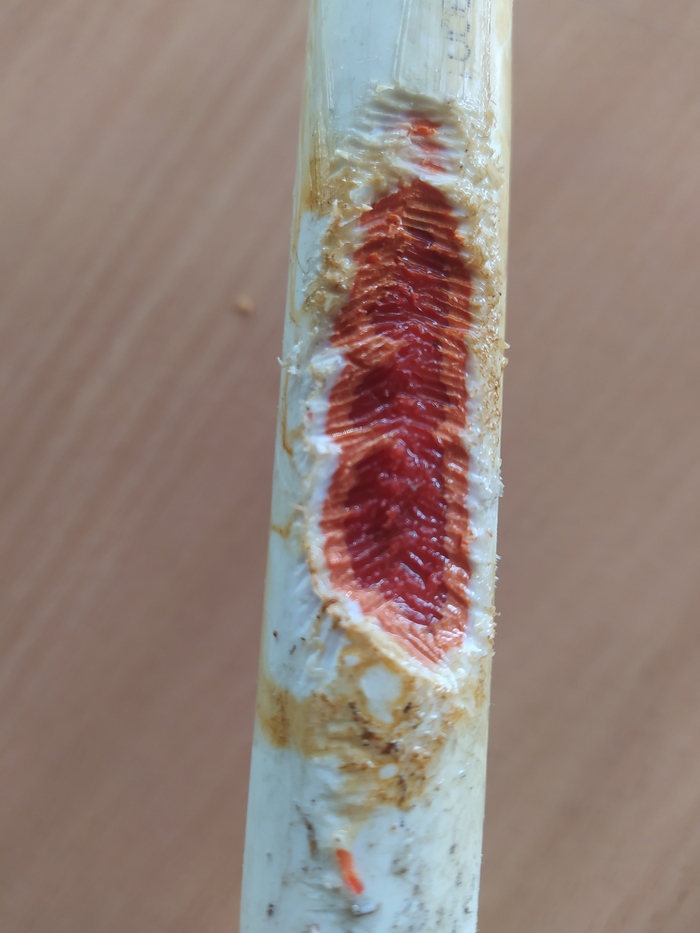 Қыз трахает өзін және кончают в ағын