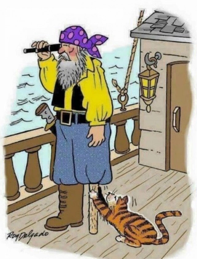 Так вот почему деревянная...