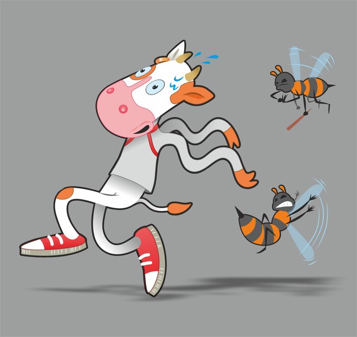 Вы любите коров? Рисунок, Бык, Векторная графика, Длиннопост