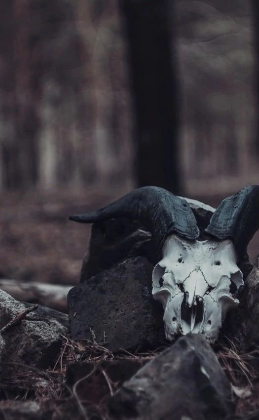 Сходняк темных сил