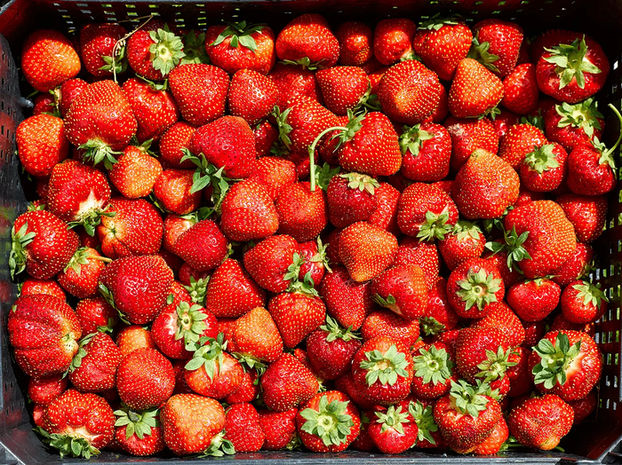 Порно - истинный двигатель прогресса. Почему "индустрия для взрослых" может стать еще одним локомотивом развития искусственного интеллекта Искусственный интеллект, Порно, Бизнес, Технологии, Инновации, Deepfake, IT, It-компания, Сайт, Pornhub, Браззерс, Изобретения, Длиннопост