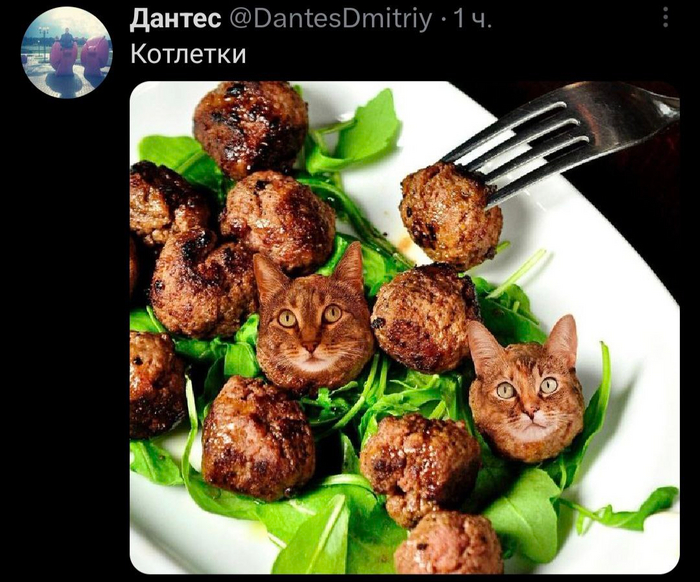 �������� � CAT�����