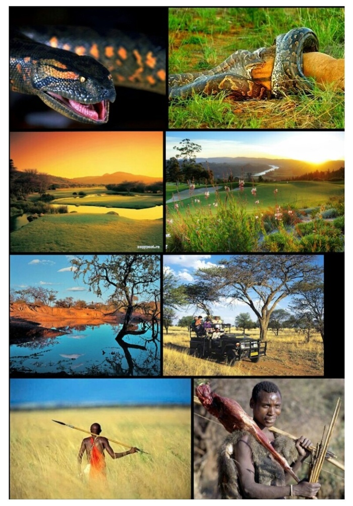 ������� ������ : ����������� ������� � ���������� ��������