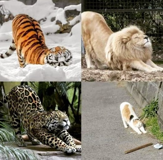 ��� � ��� ��������