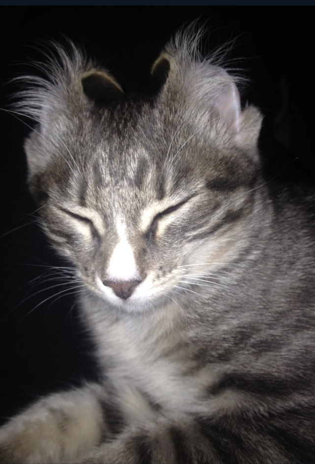 Не мешай, я думаю...