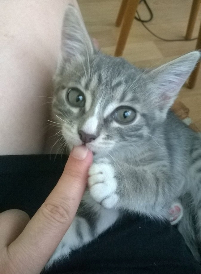 Ни кому не говори...