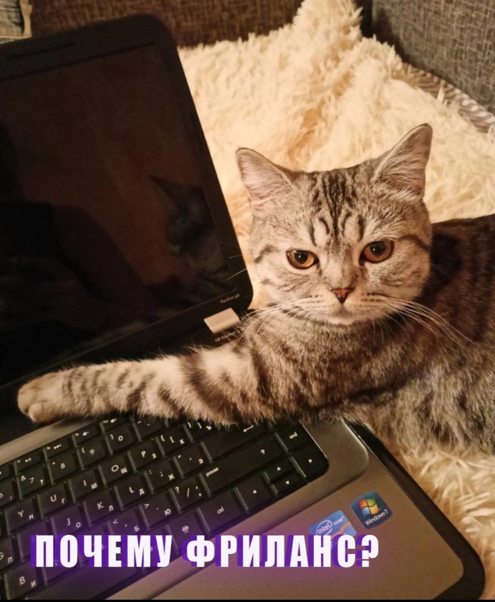 Почему фриланс?