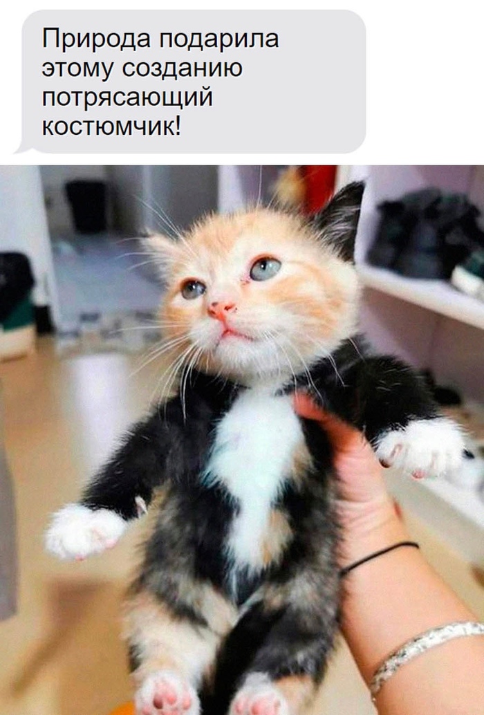      ! , ,   ,  , , , ,  