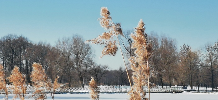 Шумел камыш, деревья гнулись
