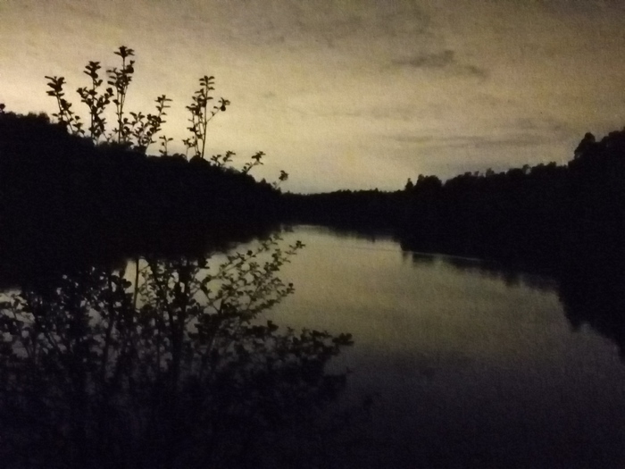 Летняя ночь