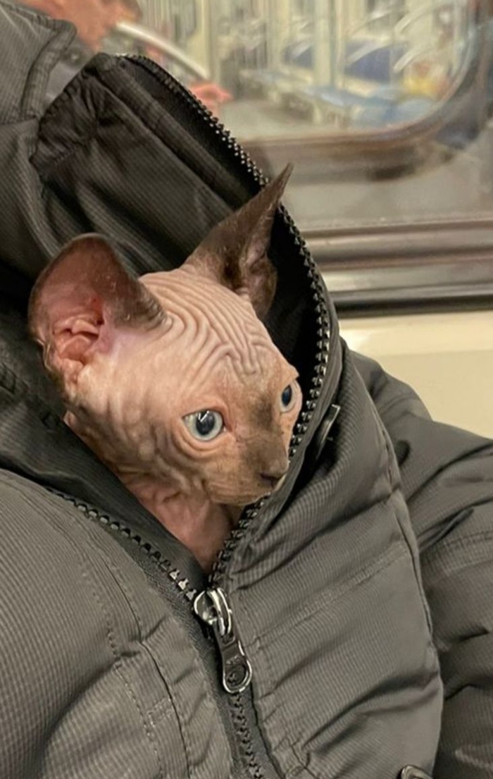 ���������, � �����.. � ��� �� ������...