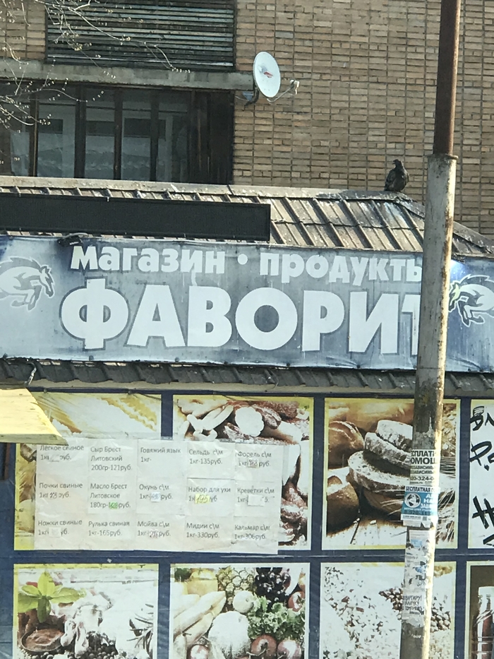 ���� �����