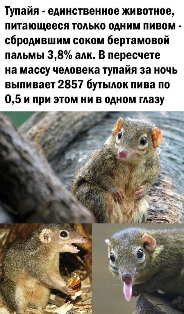    , , , ,   