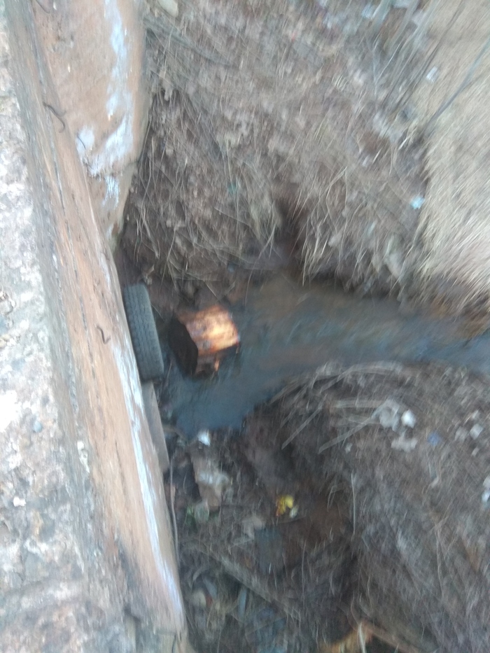 Написал обращение к мэру города | Пикабу