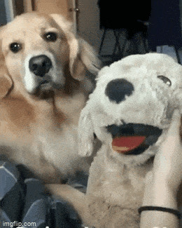      , , , 