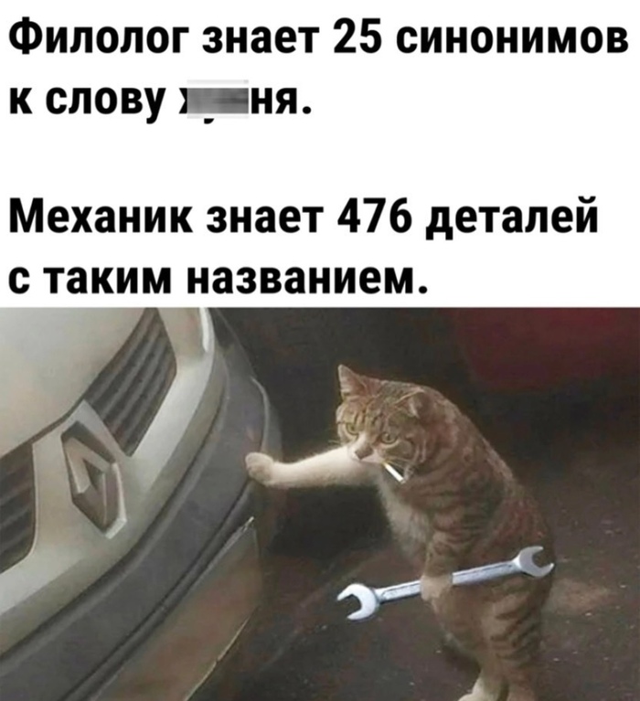   ,   , 