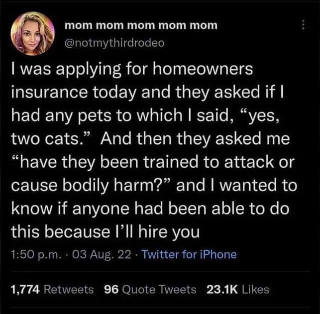 Дрессировка