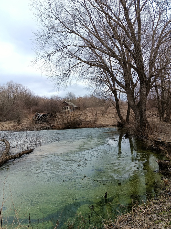 Весна в глуши