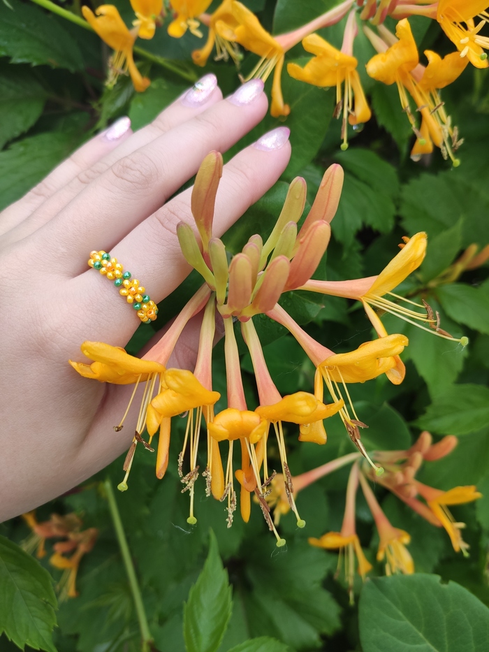 Жёлтый кайф