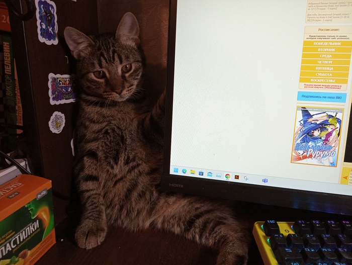, ,   ,  , , ,  