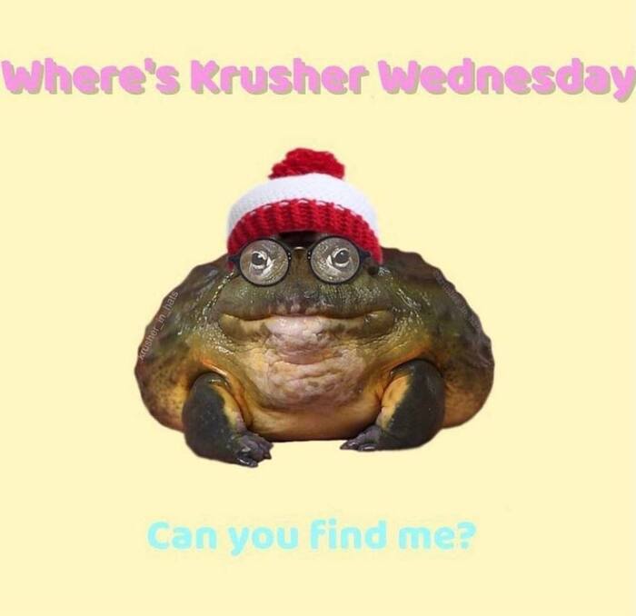 ** ,   ? It Is Wednesday My Dudes, ,   , , , , 