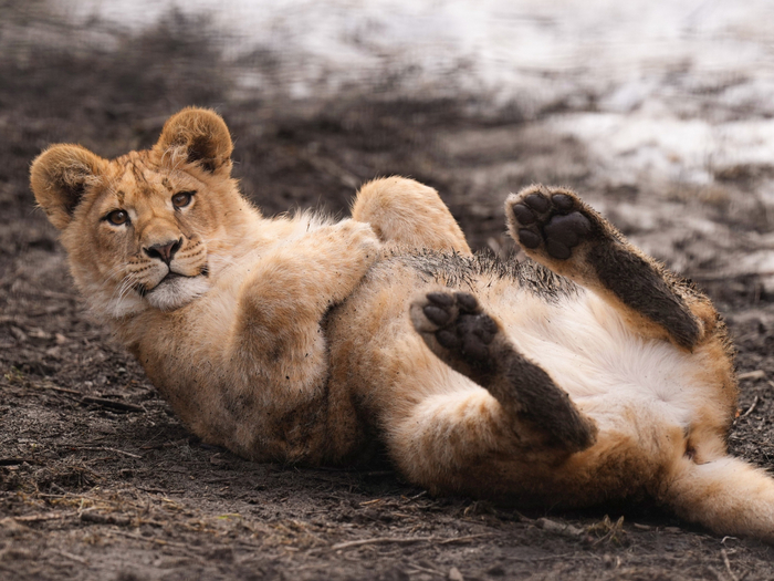 Грязные пяточки :3