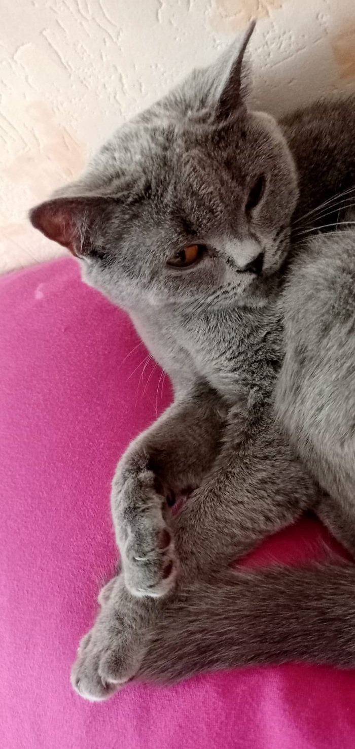 ������ ��� ����������� ����� ����� �� �������