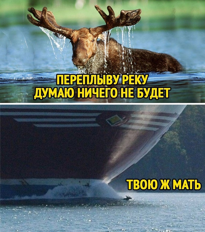 Я так ремонт затеял... думал только обои переклею