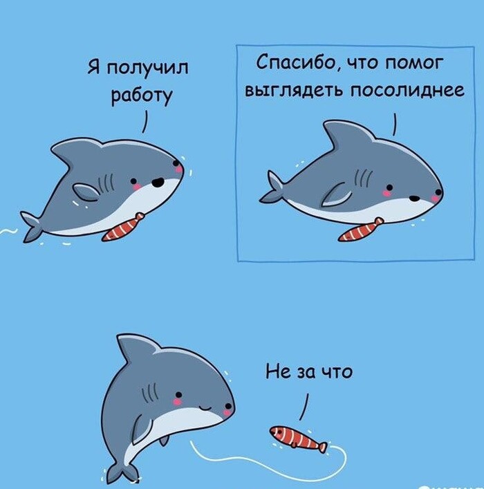 ��������� ���� �����