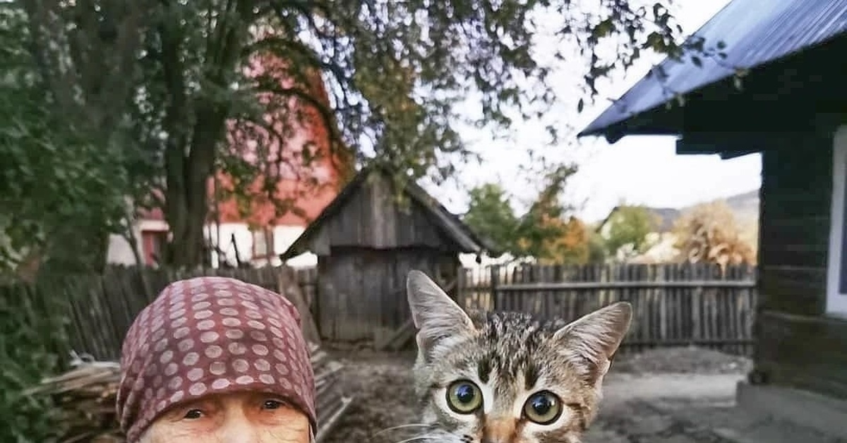 Ты приезжай хоть иногда... | Пикабу