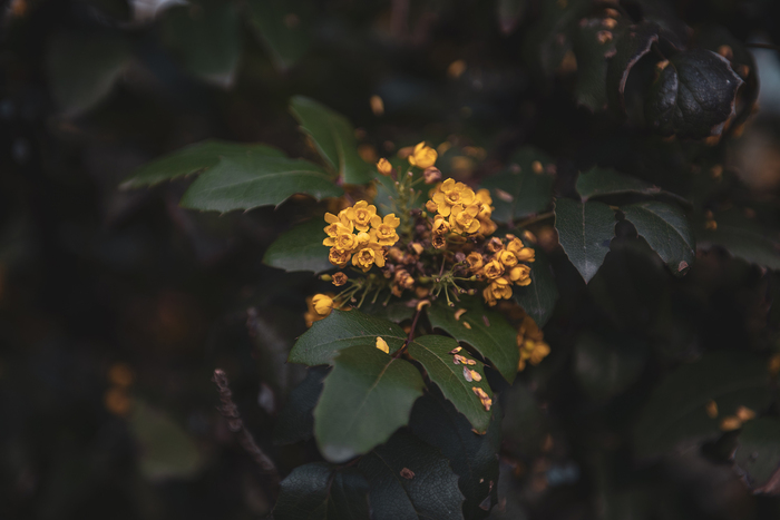 По пути на работу