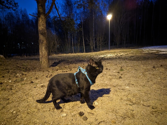 Котя)