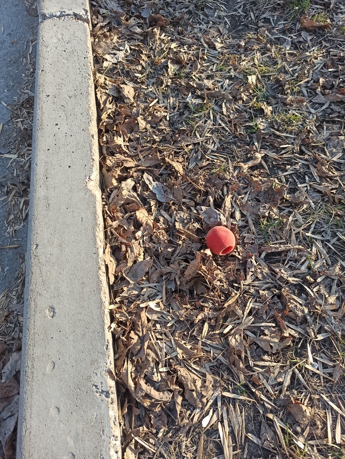 ����� ��������