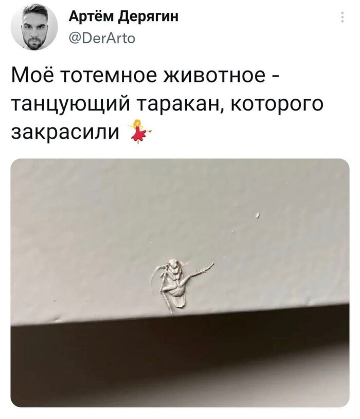        , , , , X (Twitter),   