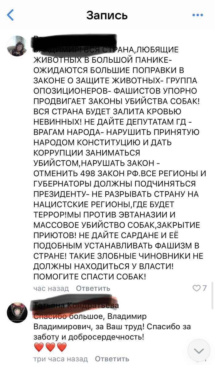 Власти Челябинска запретили кормить бродячих собак. Реакция депутата  Бурматова | Пикабу