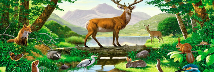 ������� ���� ���������� ��������