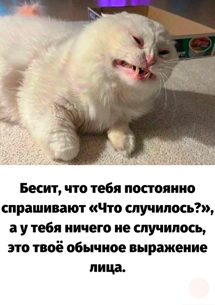 �� ��� �� � �����???