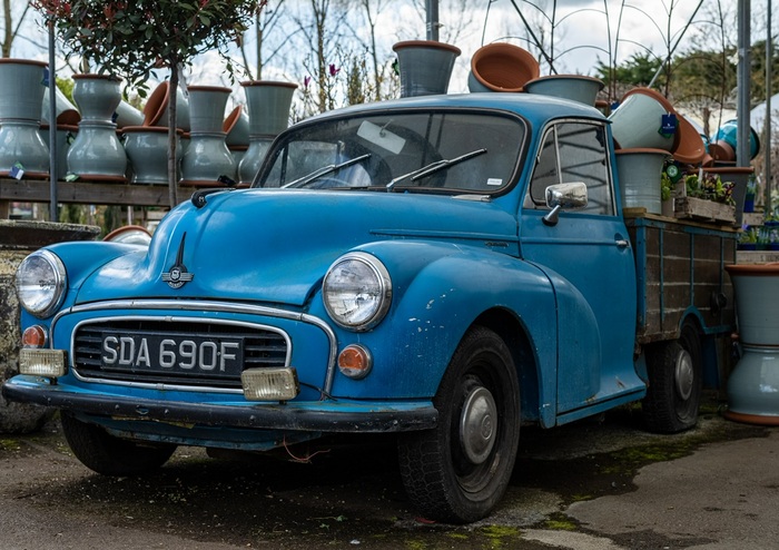 В садовом центре