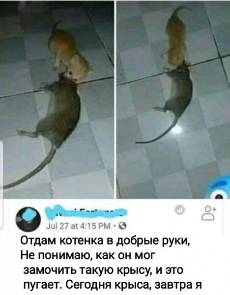  ,   , , , , , 