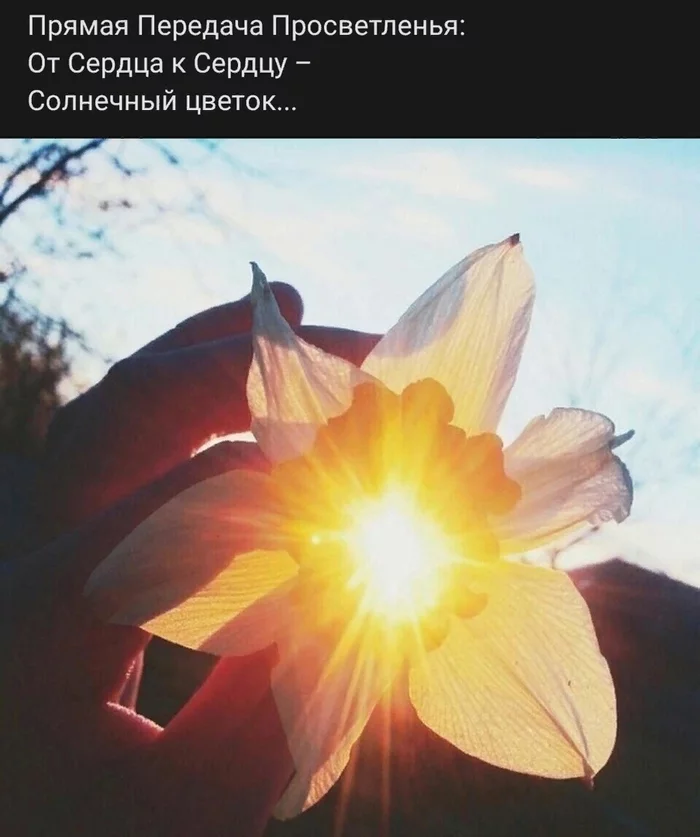 ЕСЬТИНА ВСЕГДА ЗА ПРЕДЕЛАМИ СЛОВ Мудрость, Философия, Жизнь, Будда, Человек, Бог, Интересное, Притча, Природа, Буддизм, Дзен, Люди, Медитация, Просветление, Осознанность, Саморазвитие, Образование, Обучение, Учитель, Длиннопост