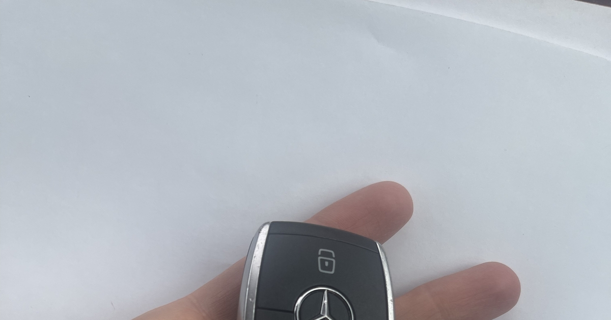 Санкт-Петербург. Найден ключ от Мерседеса | Пикабу