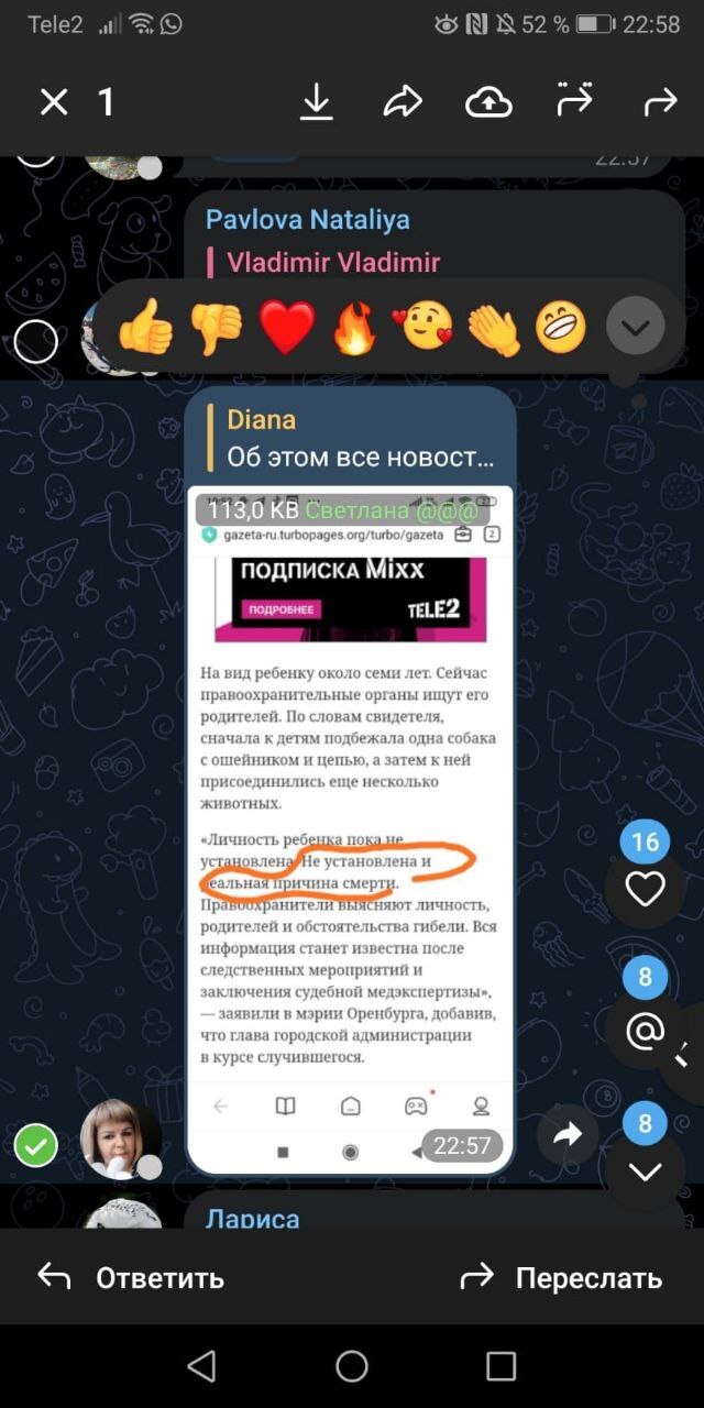 Ответ на пост «Бродячие собаки насмерть загрызли ребёнка в Оренбурге» |  Пикабу