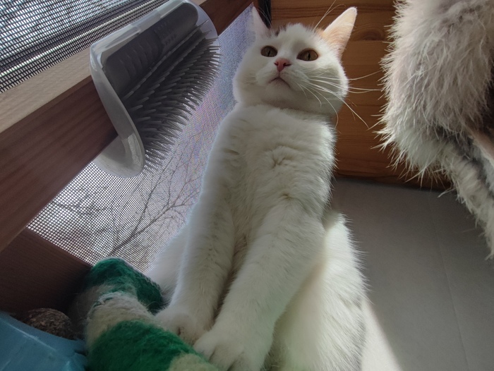 ����� ������ ����� ����� �����