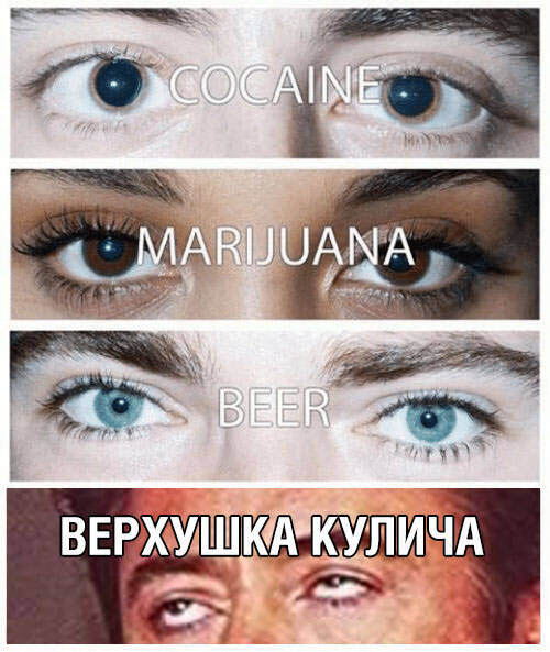 1681638853147881652.jpg