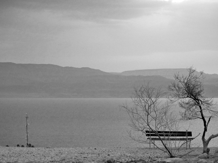 Скамейка | Пикабу