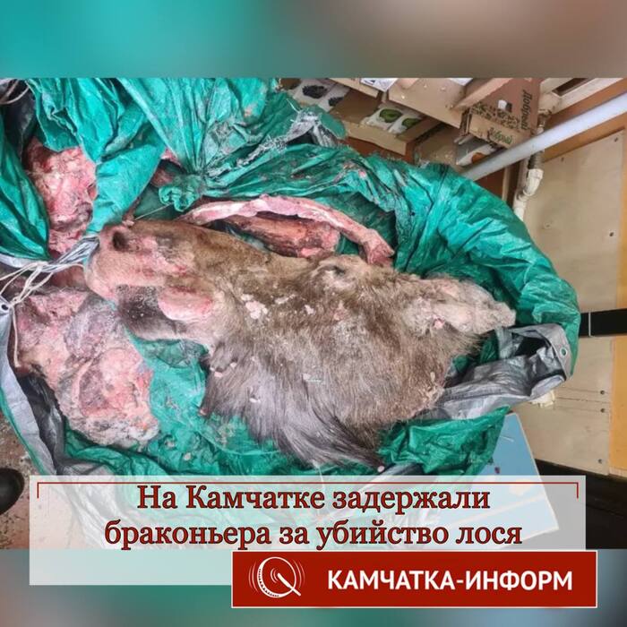 Мэн реально попал