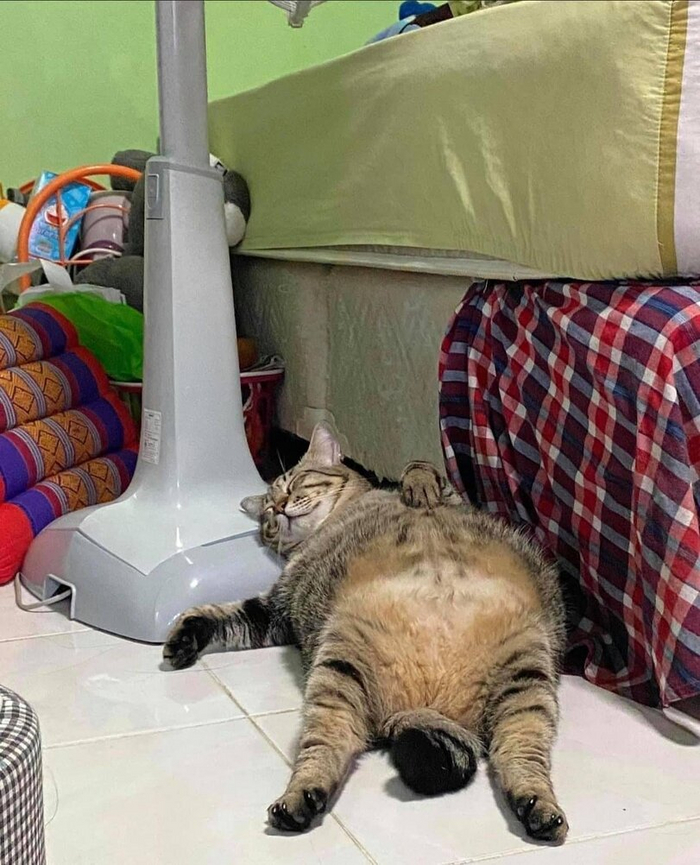 ! ,  , ,  ,  