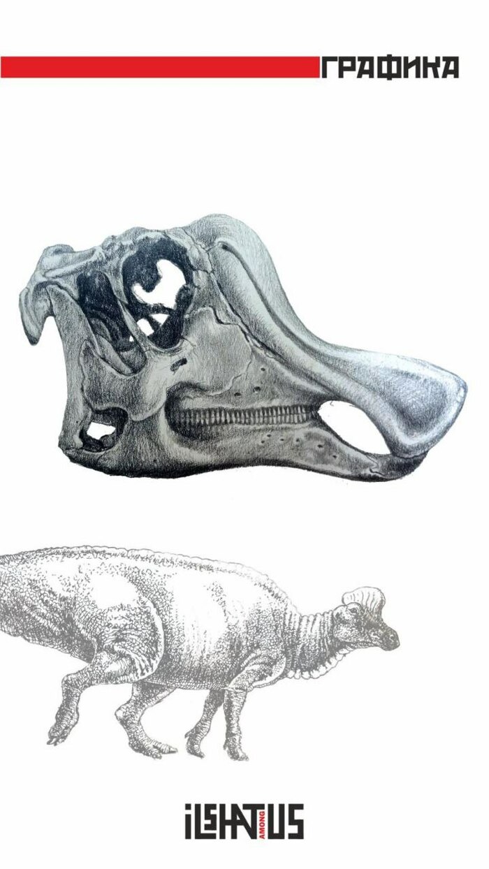 Kazaklambia skull reconstruction , Pikabu Publish Bot, , , , 